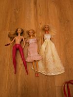 Barbies Puppen alle Zusammen für 5 Euro Bayern - Würzburg Vorschau