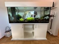 Aquarium 450l / CO2 / Dünger / Oase-Außenfilter / Komplett Niedersachsen - Ronnenberg Vorschau