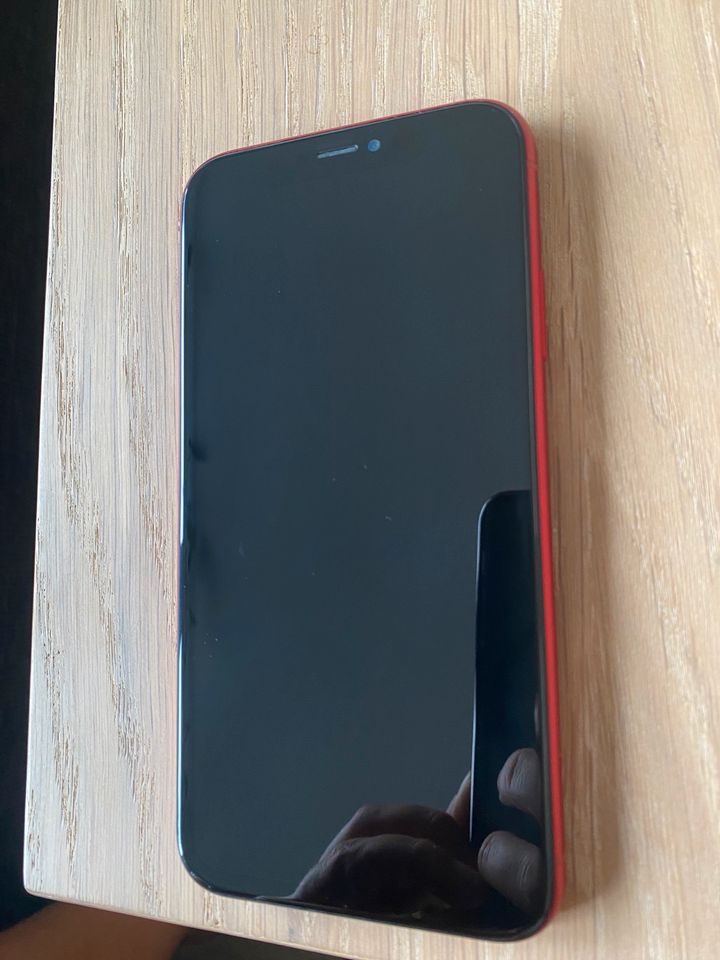 iPhone XR 128 GB, 100% Akku in Braunschweig