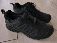 Salomon XA Pro 3D V9 GTX W, Trail Running, Größe 41 1/3 - NEU Sachsen - Burkau Vorschau