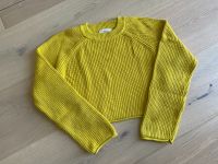 Zara Mädchen Frühlings Kurzpulli Strickpulli gelb Gr 13-14 158 Nordrhein-Westfalen - Würselen Vorschau