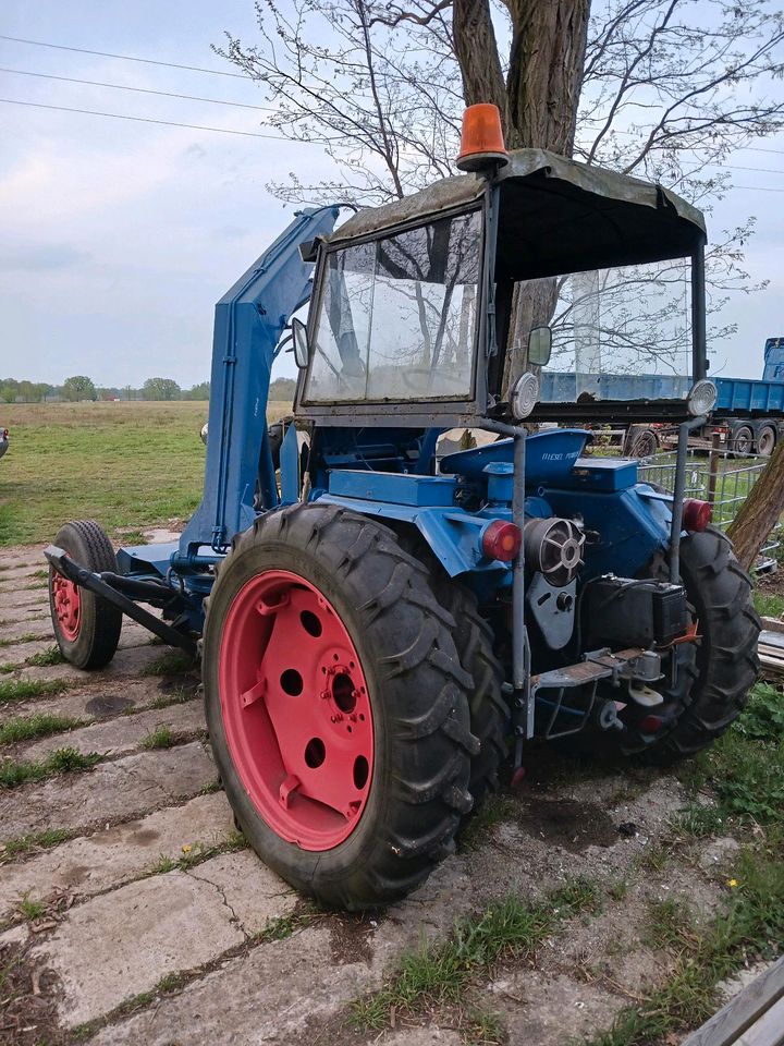 Äpfelpflücker zwiebelzieher rs09 gt in Salzwedel