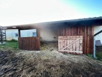 Stall / Allergiker-Box frei Sachsen-Anhalt - Badersleben Vorschau