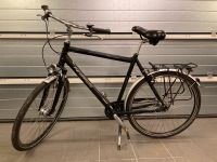 Fahrrad Herrenrad Pegasus TORINO Plus TREKKING 28“ Nordrhein-Westfalen - Mettingen Vorschau