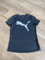 Puma Tshirt Gr 164 neuwertig Nordrhein-Westfalen - Herford Vorschau