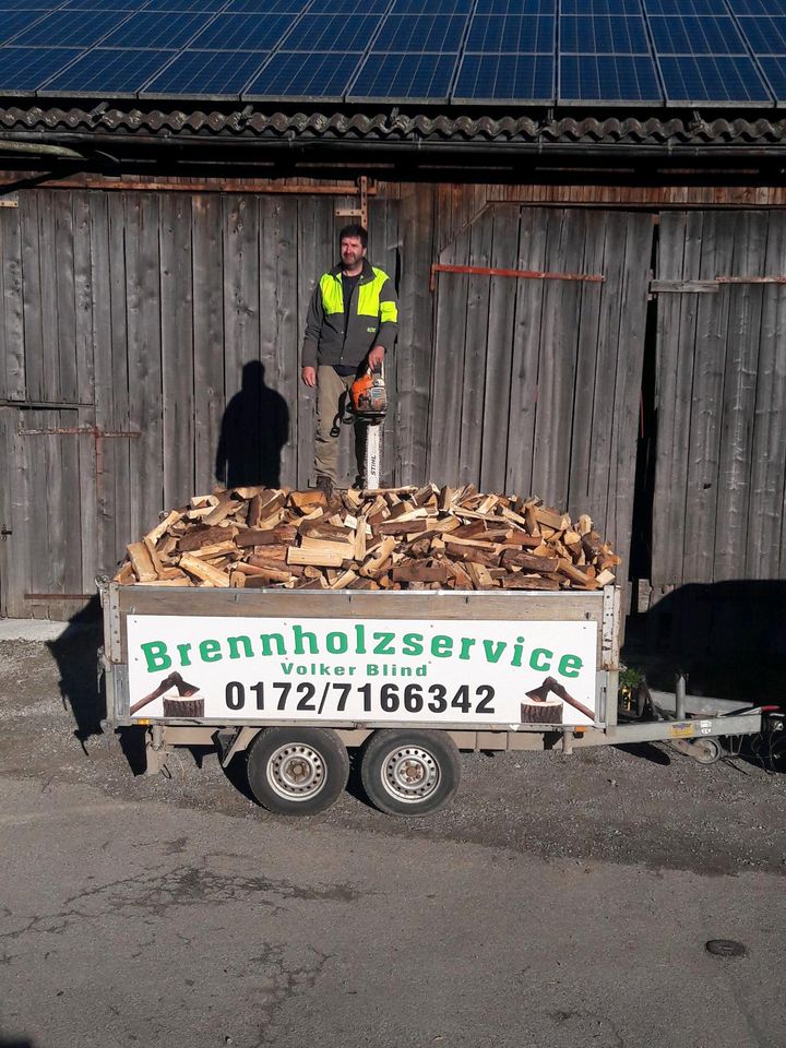 Brennholz Kaminholz Hartholz in Mainhardt