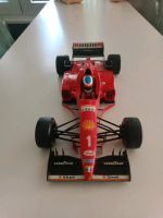 Michael Schumacher F 310 mit Regenreifen 1:18 1996 Nordfriesland - Tönning Vorschau