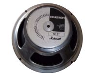 Gitarrenlautsprecher-Chassis CELESTION G12/T100 Mecklenburg-Vorpommern - Glowe Rügen Vorschau