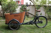 Babboe Curve Mountain Lastenfahrrad 500 Wh München - Au-Haidhausen Vorschau