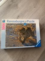 Ravensburger Puzzle mit Leoparden Hemelingen - Hastedt Vorschau