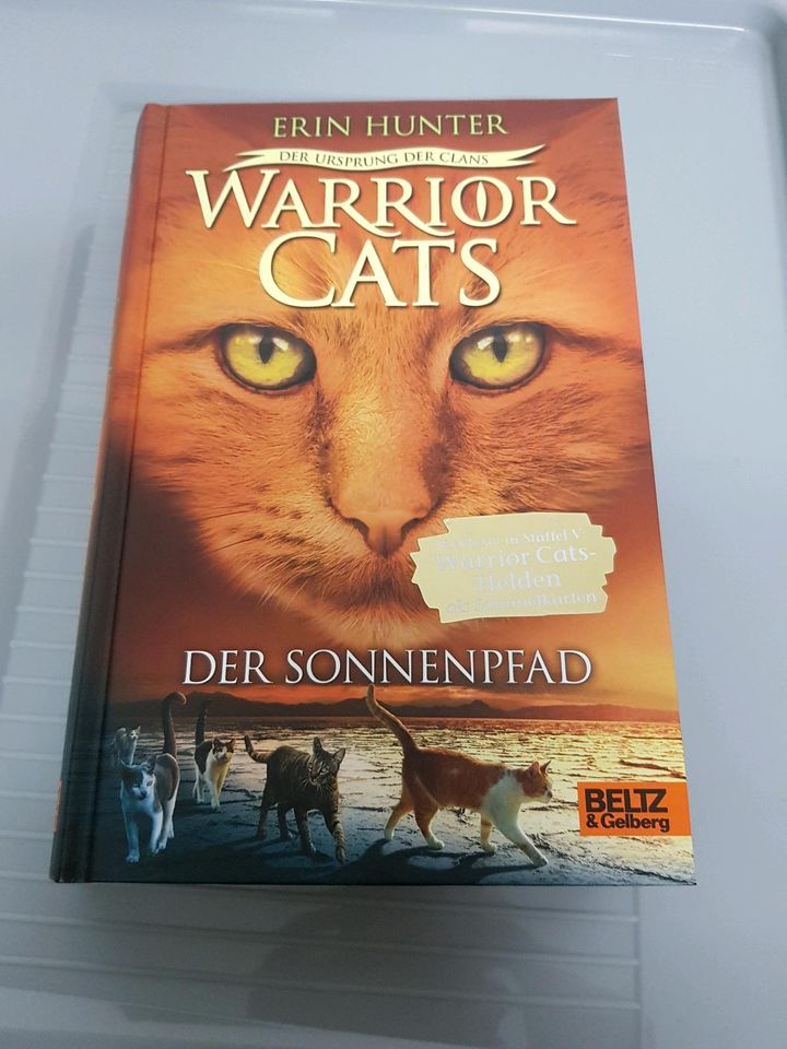 Warrior Cats  - Der Sonnenpfad, Versand 2,55€ in Heilsbronn