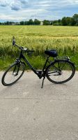 Damenfahrrad Vermont 28 Zoll Rheinland-Pfalz - Frankenthal (Pfalz) Vorschau