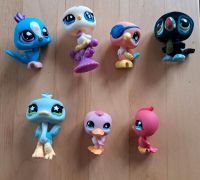 Littlest Pet Shop Vögel Baden-Württemberg - Oberhausen-Rheinhausen Vorschau