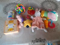 Babyspielsachen beissring rasselball Schnuller holzpuzzle topzust Rheinland-Pfalz - Heistenbach Vorschau