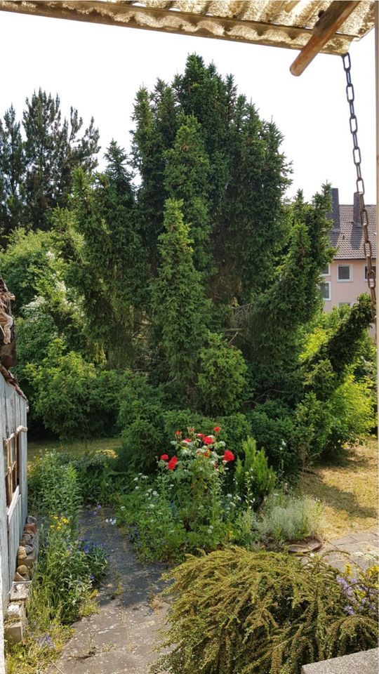 Haus in Schweinfurt freut sich auf Renovierung in Schweinfurt