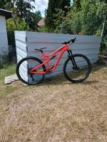 Mountainbike Rockrider XC100 S 29 Zoll Thüringen - Bad Frankenhausen/Kyffhäuser Vorschau