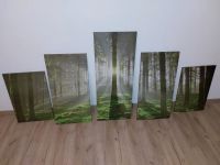 Wandbild Wald Wohnzimmer 5 teilig Sachsen - Meerane Vorschau