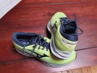 Laufschuhe Mizuno Enerzy, Größe 44,5 Brandenburg - Premnitz Vorschau