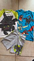 Dragons Drachenzähmen Ohnezahn T-Shirts 140/146 152/158 Rheinland-Pfalz - Remagen Vorschau