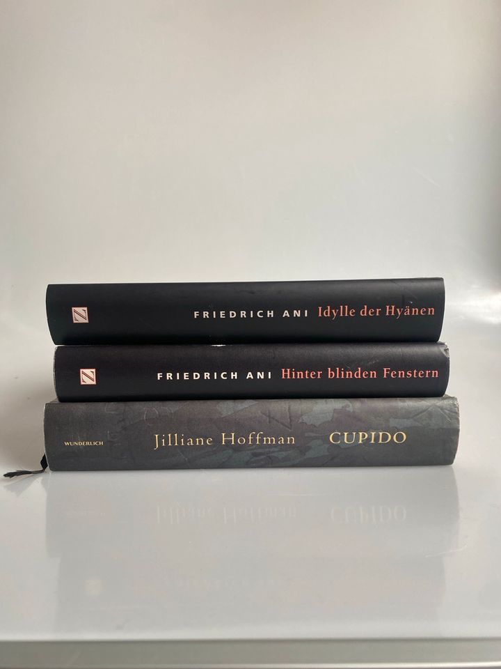 Thrillerpaket, 3 Bücher: Friedrich Ani, Jilliane Hoffman in Leipzig