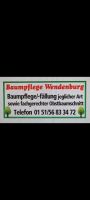 Baumpflege, Baumfällung, Baum fällen, Hecke schneiden Thüringen - Meuselwitz Vorschau