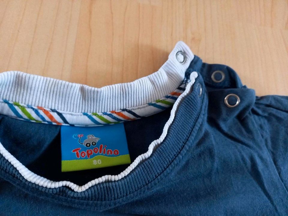 T-shirts Shirts Größe 80 Jungen in Edingen-Neckarhausen