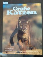 Große Katzen Ein Überblick Nordrhein-Westfalen - Vettweiß Vorschau