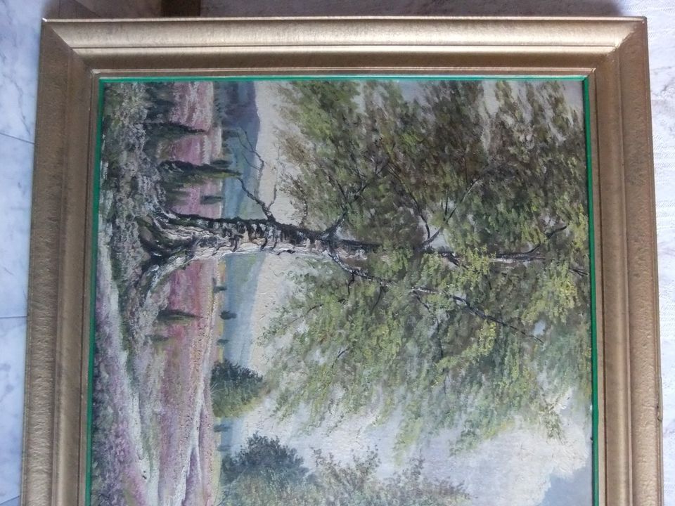 Ölbild Bild Heidelandschaft mit Birken von R. Dannhaus mit Rahmen in Herford