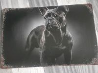 Blechschild metallschild bully frenchie bulldogge hund Sachsen-Anhalt - Staßfurt Vorschau