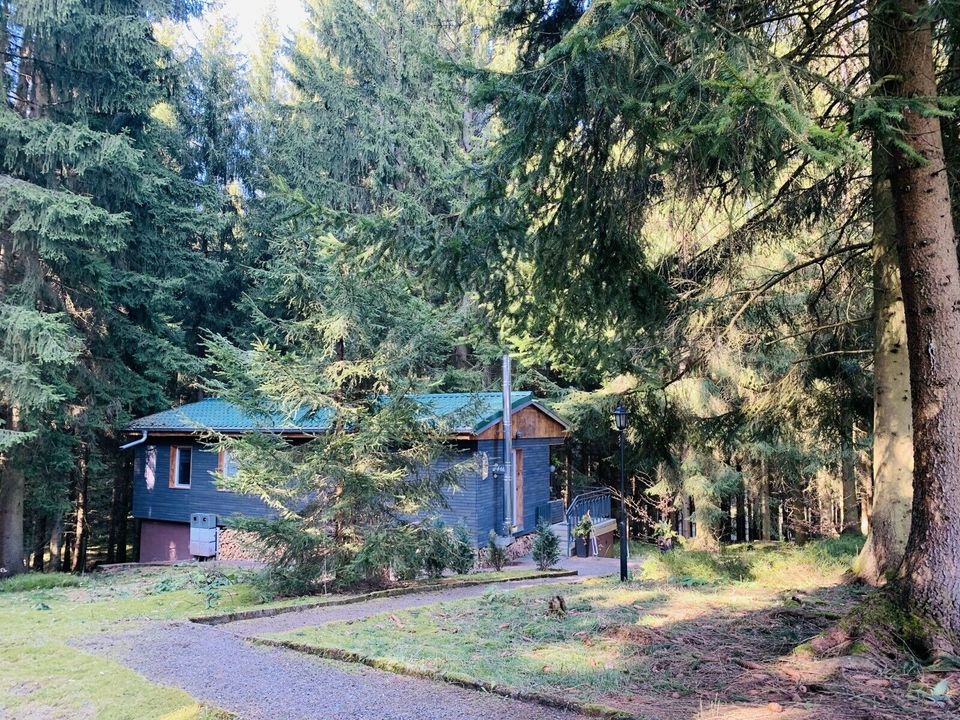 Ferienhaus “Gina“ am Wald in Friedrichroda