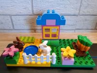 Lego Duplo Hasen Nordrhein-Westfalen - Oer-Erkenschwick Vorschau