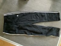 Adidas Jogginghose 164 Nordrhein-Westfalen - Detmold Vorschau