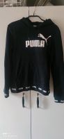 Puma Pullover xs Nordvorpommern - Landkreis - Ribnitz-Damgarten Vorschau