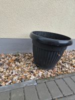 Pflanzkübel Blumentopf Sachsen - Delitzsch Vorschau
