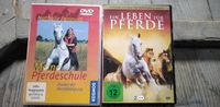 DVD Pferde Dresden - Laubegast Vorschau