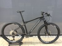 Bottecchia Ortles 297+ Carbon /Deore 12s, Größe 53 / MOUNTAINBIKE Bayern - Großmehring Vorschau