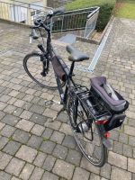 Pegasus Herrenrad „Premio SL“ 28 Zoll Nordrhein-Westfalen - Soest Vorschau