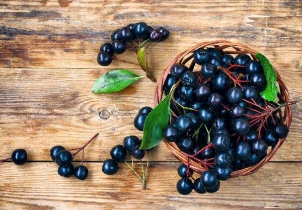 Bio Aronia Beeren|Naturbelassen|Unbehandelt|Premium Qualität in Berlin