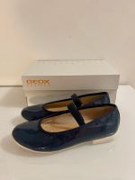 GEOX Ballerina Schuhe dunkelblau wNEU Gr.32 Hessen - Oberursel (Taunus) Vorschau