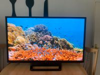 LG Plasma 60 Zoll Full HD TV/Fernseher Teildefekt* Nordrhein-Westfalen - Bedburg-Hau Vorschau