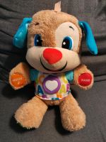 Hund Fisher Price Spielzeug Saarland - Tholey Vorschau