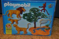 Playmobil Löwenfamilie mit Affenbaum 4830 Hessen - Körle Vorschau