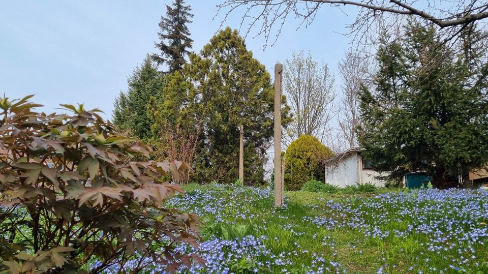 Modernisieren, Neu bauen oder Beides in Dresden