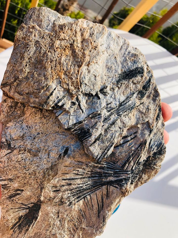 Achat nadeln auf Glimmer Platte Mineral unbekannt selten Yo in Hafenlohr