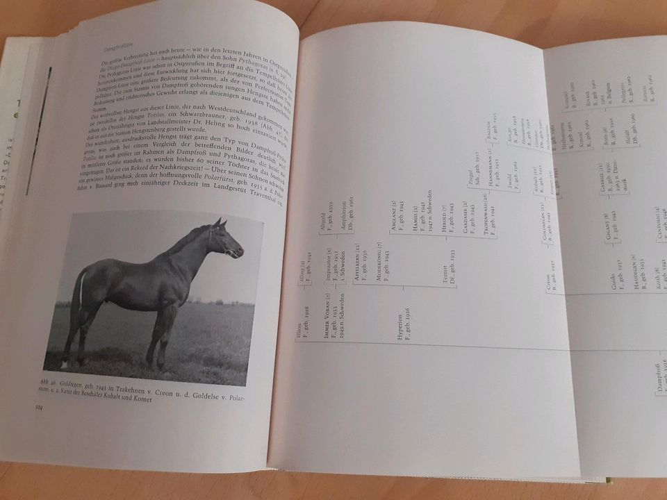 Pferdeliteratur Trakehner Pferde Zucht Bücher in München