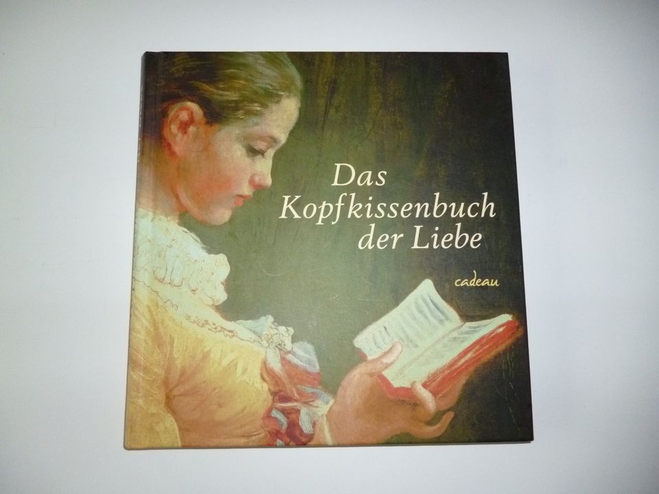 Buch: "Das Kopfkissenbuch der Liebe" in Braunschweig