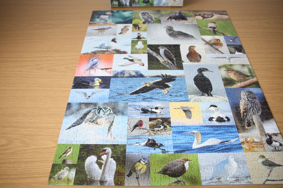 2x 1000 Teile Puzzle Birds/ Flowers of Norway Je 12 € in Cölbe