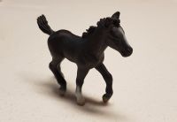 Schleich 13294 Lipizzaner Fohlen schwarz Brandenburg - Großbeeren Vorschau