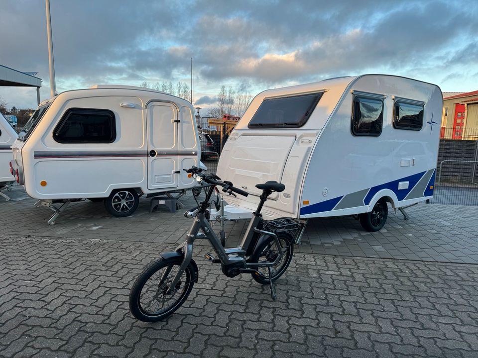 Qio Eins P-5 E-Bike Kompaktrad mit Riemenantrieb in Stein (Probstei)