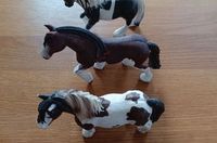 Schleich Pferde Hessen - Bad Arolsen Vorschau